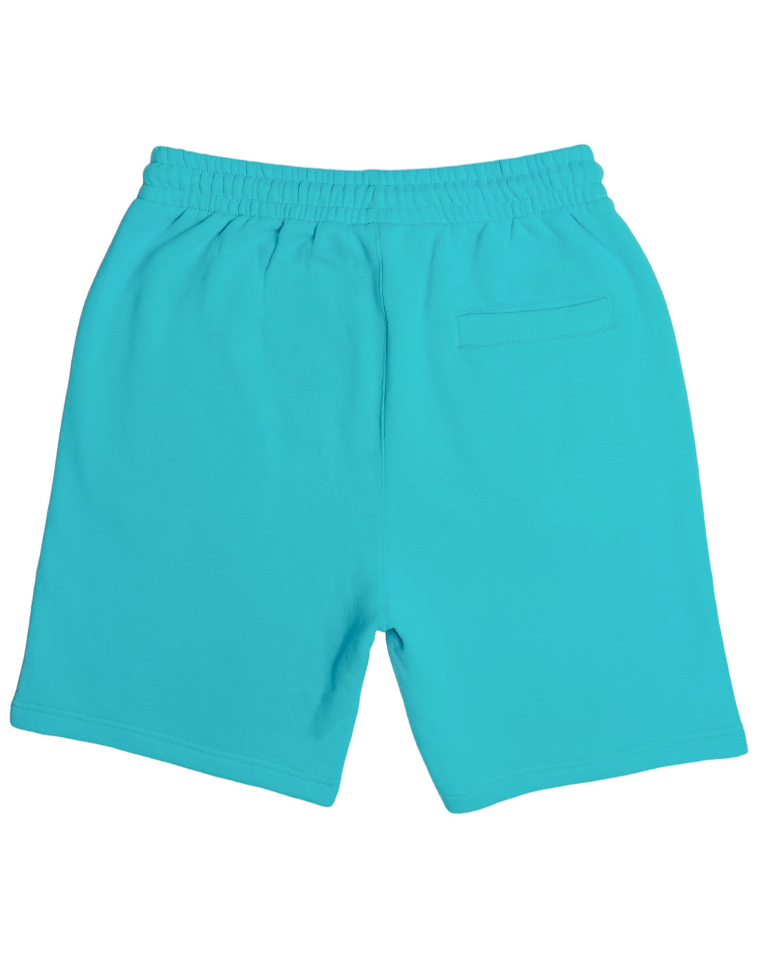 Aquamarine Blue Shorts
